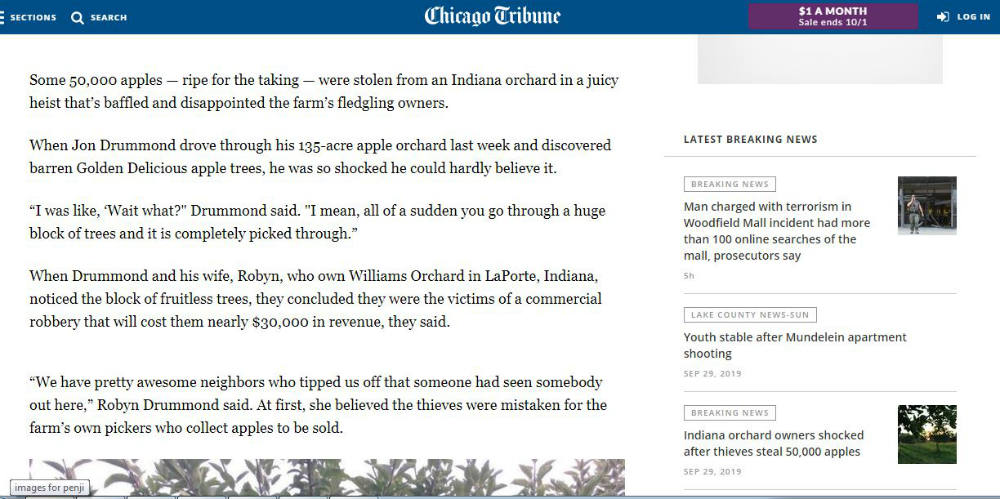 chicago_tribune editorial