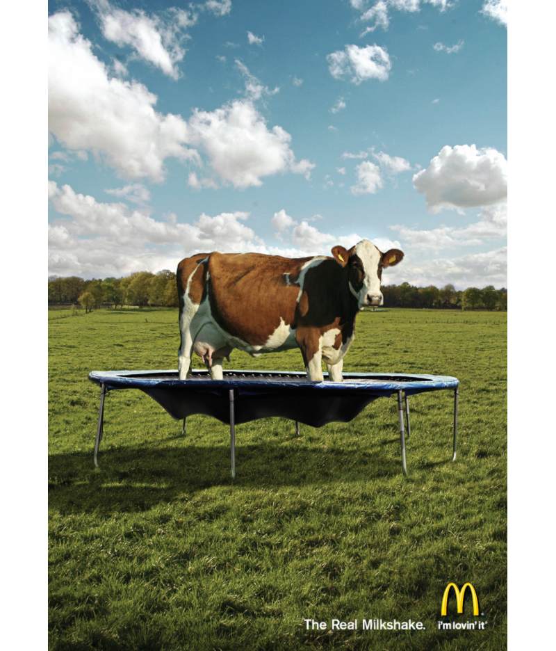 funny print ad example